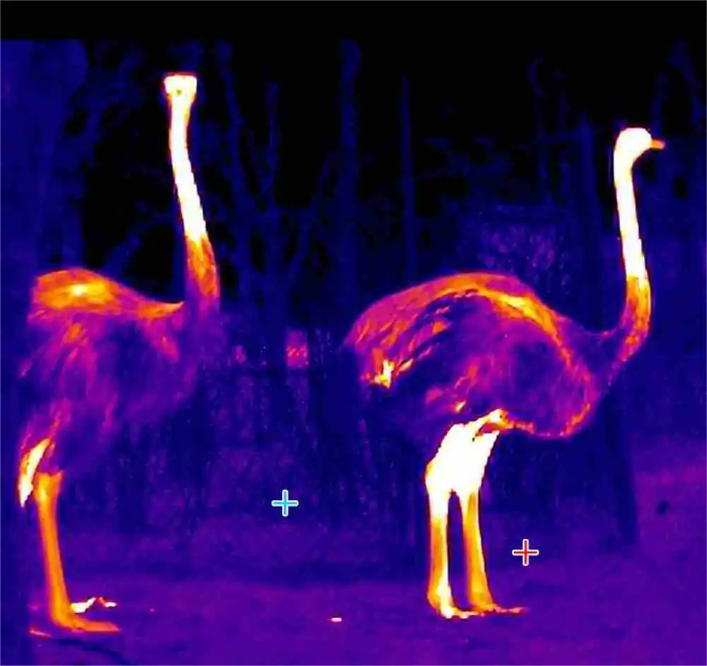 HTI HT-A10 Thermal Imager for sale