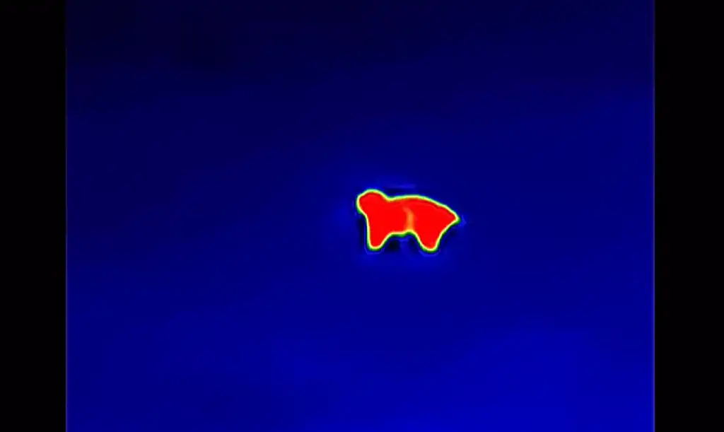 Image #1 from Jacob Finley