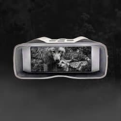 5K UHD Night Vision Binocular with 3.99" Screen 10000mAh 60MP 10X Digital Zoom 600M 9 Levels IR Nite Vision Binoculars for Night Hunting - Image 7
