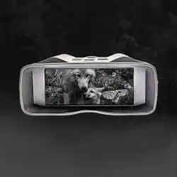 5K UHD Night Vision Binocular with 3.99" Screen 10000mAh 60MP 10X Digital Zoom 600M 9 Levels IR Nite Vision Binoculars for Night Hunting - Image 7
