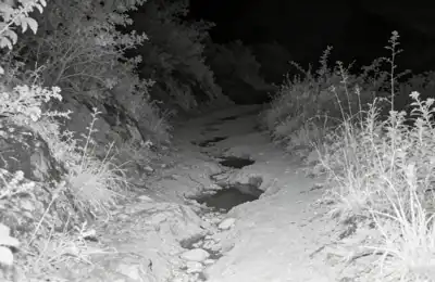 Natural Light Amplification for Nighttime Navigation