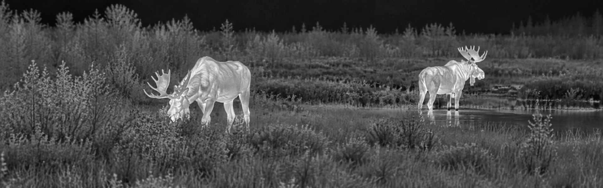 affordable thermal monocular opening image for Visible-Field Animal Checks Before Farm Work