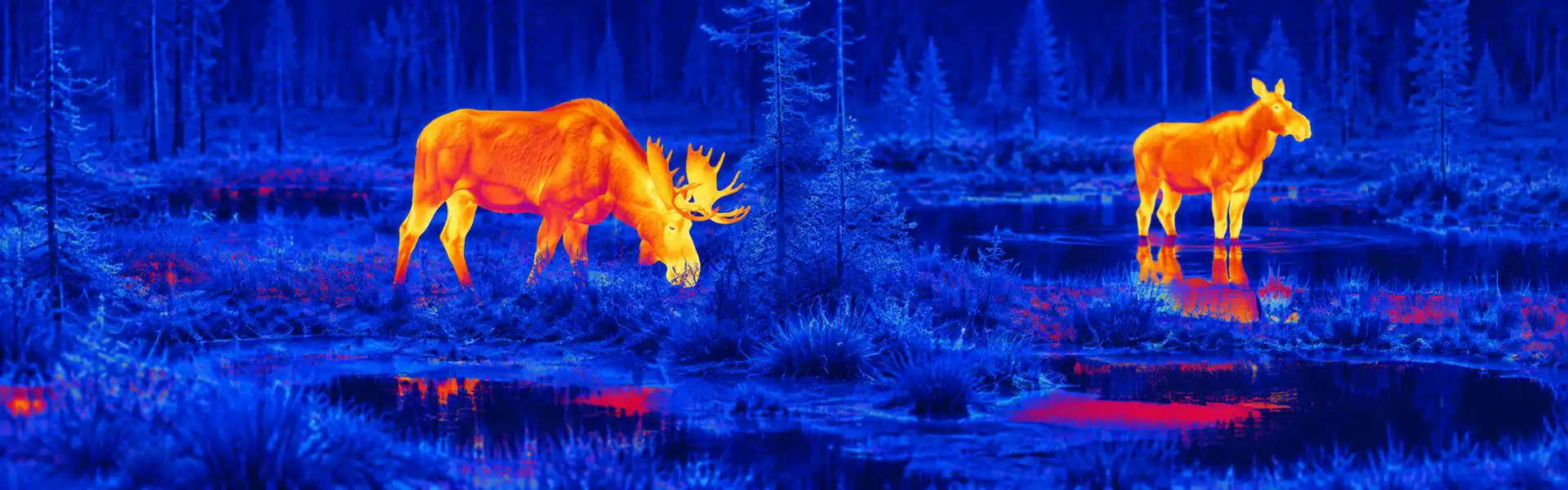 thermal binoculars for hunting for Fixed-Position Wildlife Watching