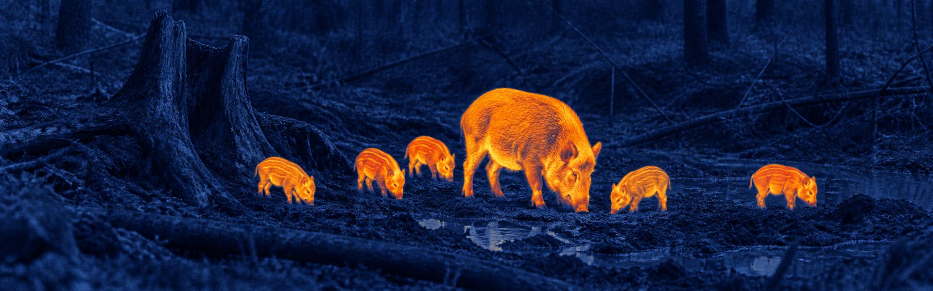 thermal binoculars hunting opening image for Parking Area Night Observation