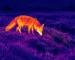 thermal night vision binoculars for Farm Gate Observation