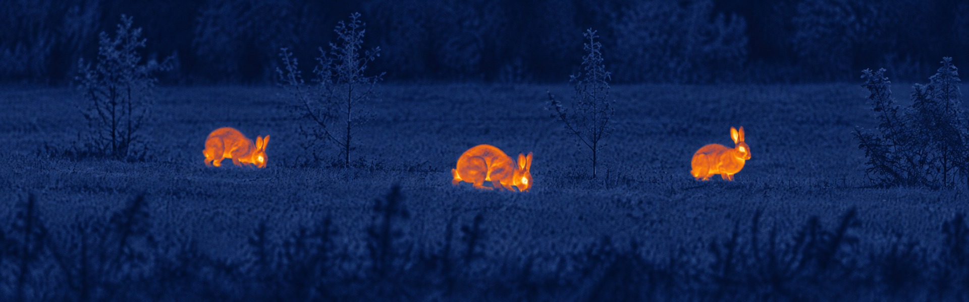 night vision goggles with thermal imaging opening image for wildlife Observation at Dusk and Night