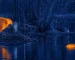 thermal optics for hunting for Thermal-Assisted Bird Identification Workflow