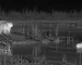 night vision goggles with thermal imaging for wildlife Observation at Dusk and Night