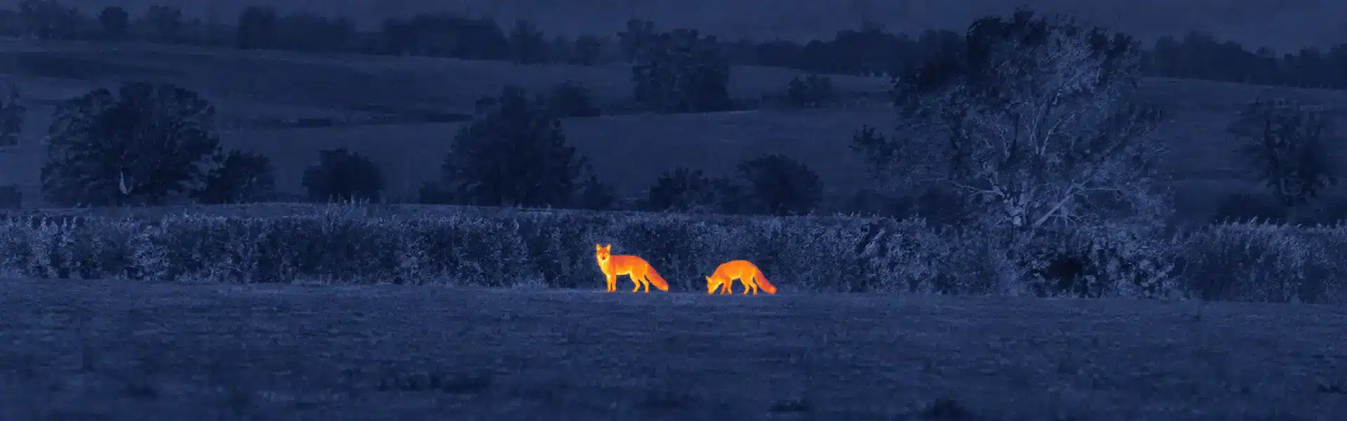 affordable thermal monocular for Visible-Field Animal Checks Before Farm Work