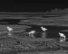 thermal goggles for hunting for Bankside Night Fishing Observation