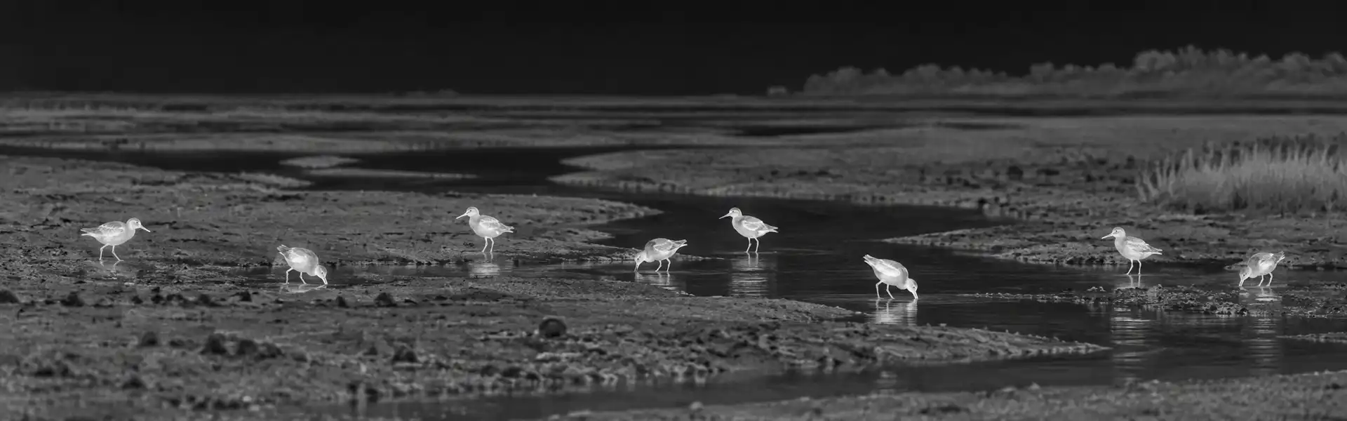 thermal goggles for hunting for Bankside Night Fishing Observation