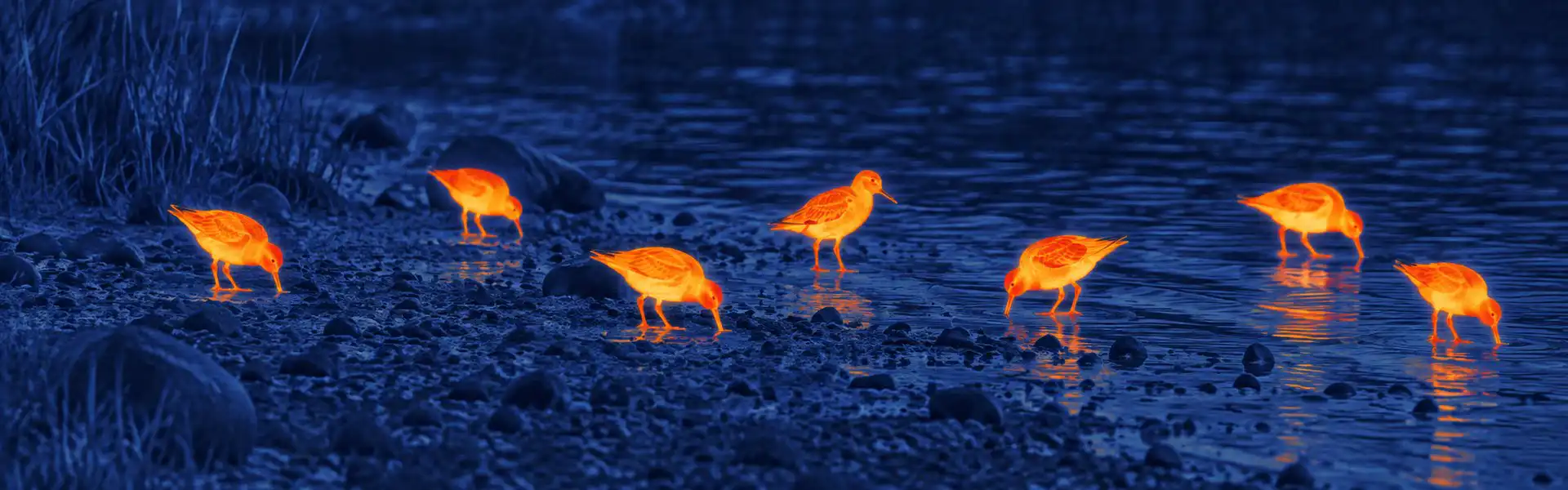 thermal goggles hunting for Digital Night Vision Comparison Recording