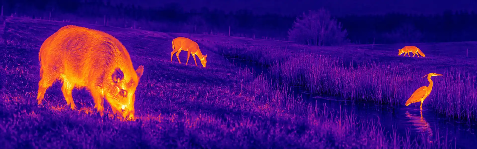 best thermal binoculars for Wildlife Around Waste and Storage Areas