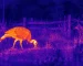 night vision goggles with thermal for Woodland-Edge Wildlife Observation