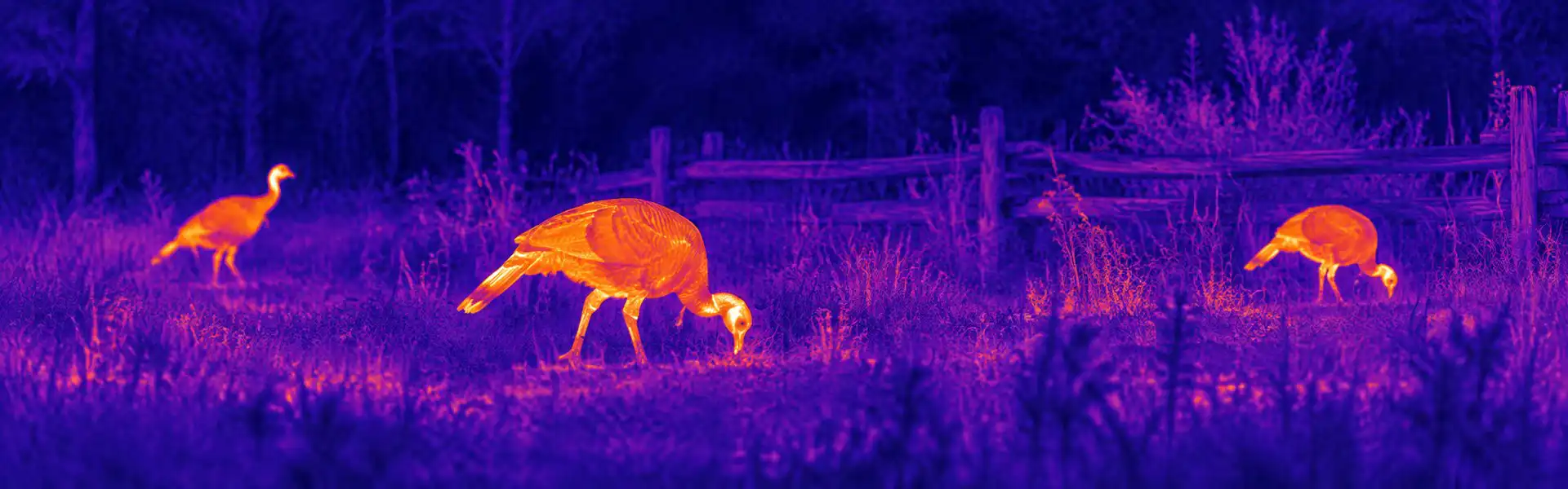night vision goggles with thermal for Woodland-Edge Wildlife Observation