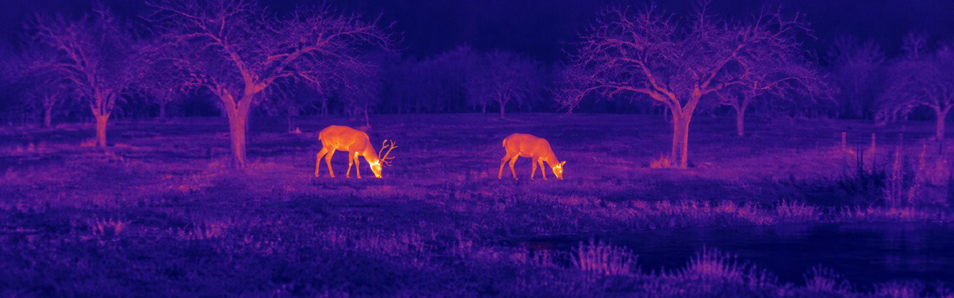 best thermal monocular opening image for Wildlife Activity Recording