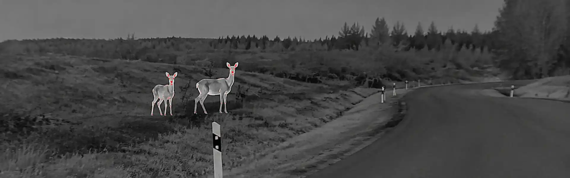 best thermal monoculars for Wildlife Near Livestock Enclosures
