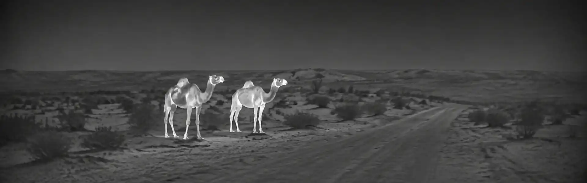 thermal monocular hunting for night nature recording
