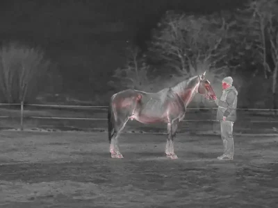 Thermal binoculars hunting guide with an illustrative thermal view of a horse near a farm building