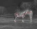 Thermal binoculars hunting guide with an illustrative thermal view of a horse near a farm building
