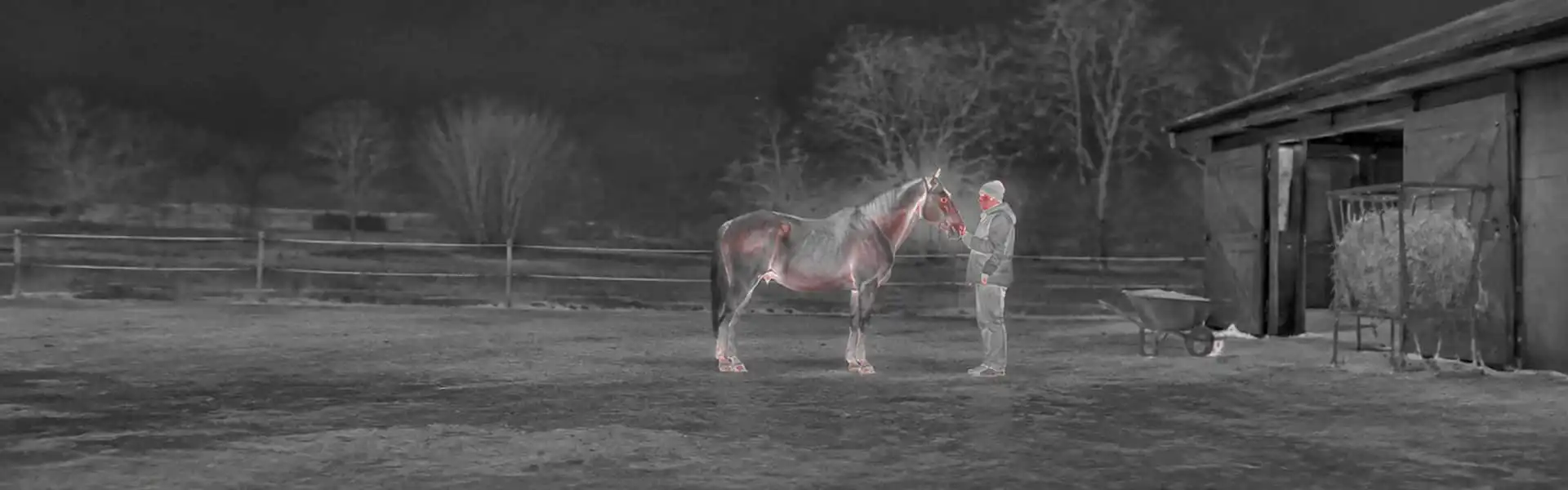 Thermal binoculars hunting guide with an illustrative thermal view of a horse near a farm building