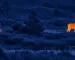 Best budget thermal monocular guide with an illustrative thermal view of deer in a forest clearing