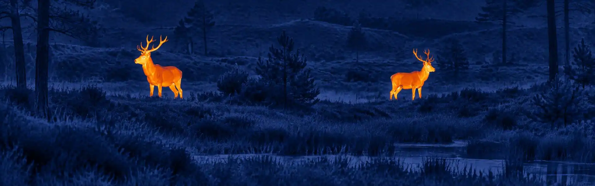 Best budget thermal monocular guide with an illustrative thermal view of deer in a forest clearing