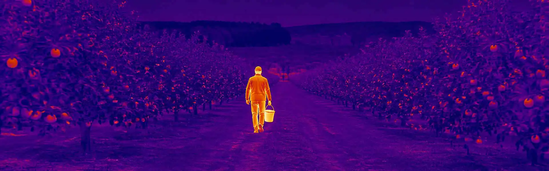 Night vision goggles with thermal imaging guide: illustrative view of a person on an outdoor path