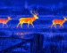 Thermal monocular hunting guide: illustrative view of deer beside a field fence