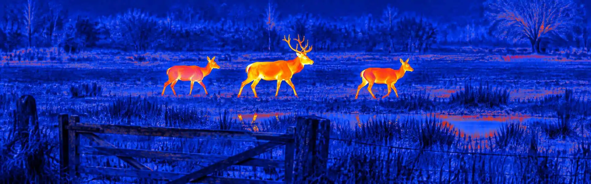 Thermal monocular hunting guide: illustrative view of deer beside a field fence