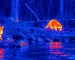 Digital thermal goggles guide: illustrative view of raccoon-like animals beside water