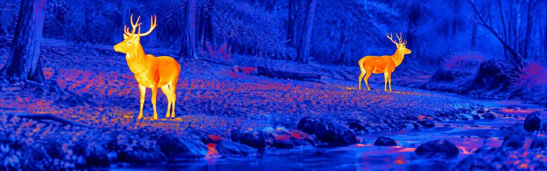 Night vision goggles with thermal guide: illustrative view of deer in a wooded clearing