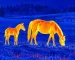 Best thermal monocular guide: illustrative view of horses grazing on open ground